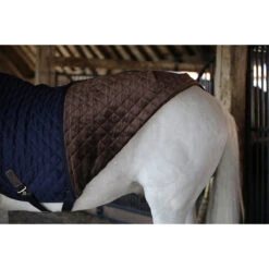 Stapmolendeken Kentucky 160gr Donkerblauw -Paard Verzorging stapmolendeken kentucky 160gr donkerblauw 1500x1500 139837