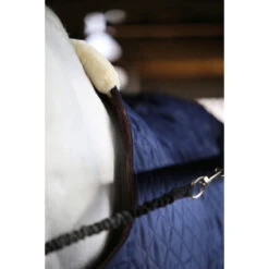 Stapmolendeken Kentucky 160gr Donkerblauw -Paard Verzorging stapmolendeken kentucky 160gr donkerblauw 1500x1500 139838