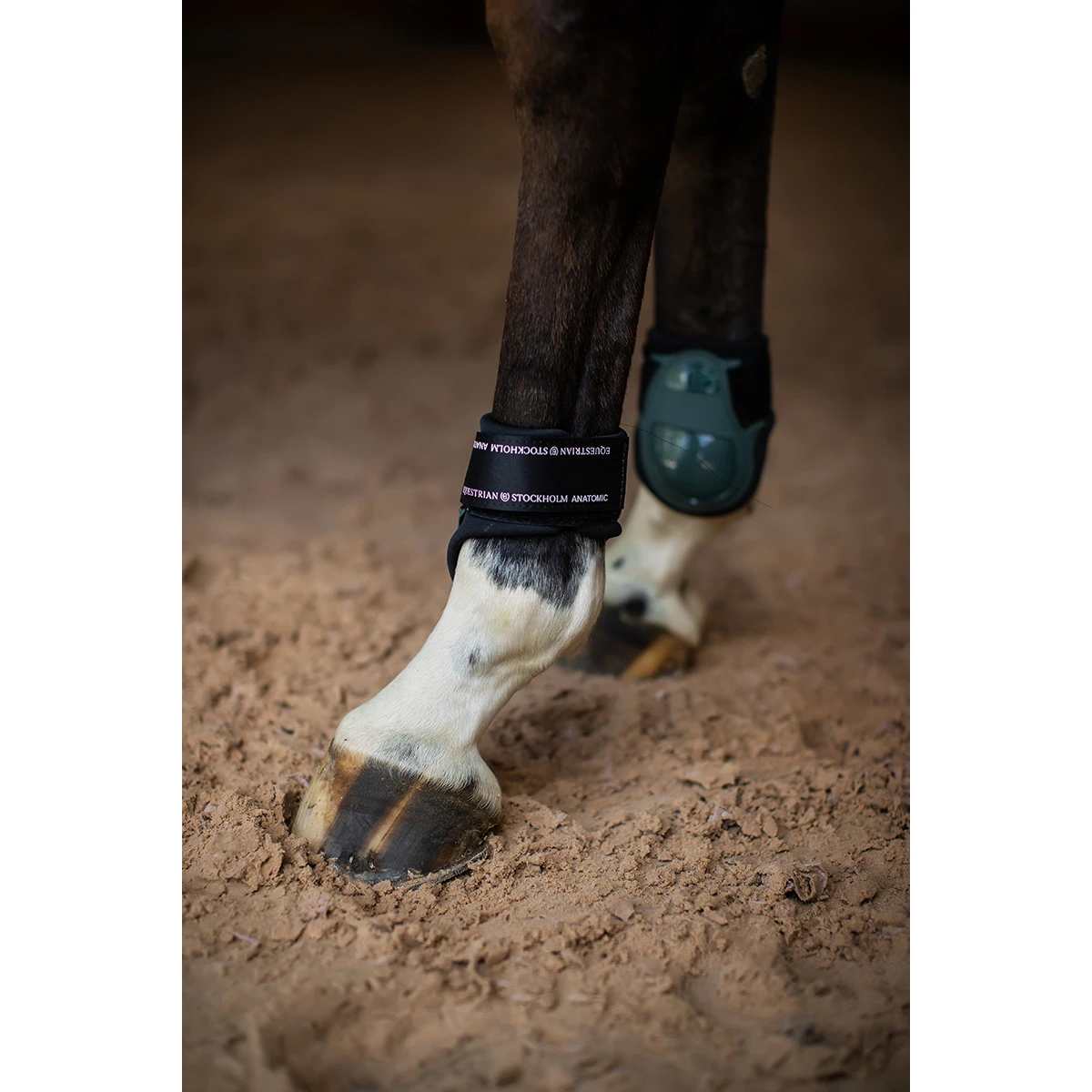 Strijklappen Equestrian Stockholm Anatomic Sycamore Green Groen 2 Strijklappen Equestrian Stockholm Anatomic Sycamore Green Groen - Afbeelding 2