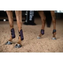 Strijklappen Equestrian Stockholm Black Raven Paars -Paard Verzorging strijklappen equestrian stockholm black raven paars 1500x1500 179362