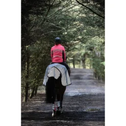 Uitrijdeken WeatherBeeta Reflective Zwart-zilver -Paard Verzorging uitrijdeken weatherbeeta reflective zwart zilver 1500x1500 135298