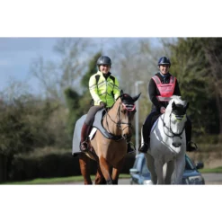 Uitrijdeken WeatherBeeta Reflective Zwart-zilver -Paard Verzorging uitrijdeken weatherbeeta reflective zwart zilver 1500x1500 135299