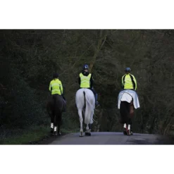 Uitrijdeken WeatherBeeta Reflective Zwart-zilver -Paard Verzorging uitrijdeken weatherbeeta reflective zwart zilver 1500x1500 135300