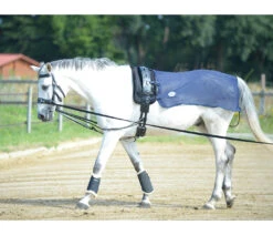 Vliegen Uitrijdeken Busse Longeer Donkerblauw -Paard Verzorging vliegen uitrijdeken busse longeer donkerblauw 1500x1500 125707