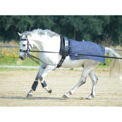 Vliegen Uitrijdeken Busse Longeer Donkerblauw -Paard Verzorging vliegen uitrijdeken busse longeer donkerblauw 1500x1500 125708